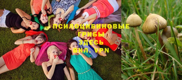 не бодяженный Няндома