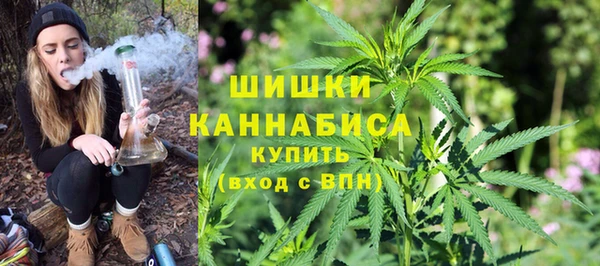 сатива Нягань