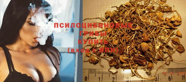 сатива Нягань