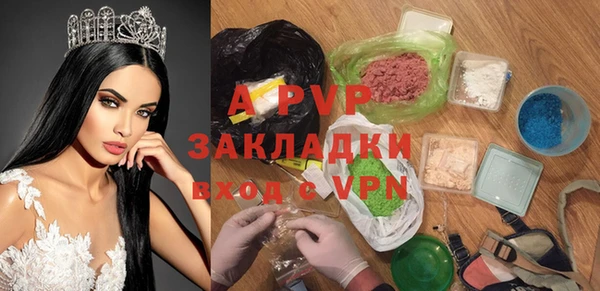 крисы Галич