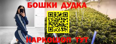 стафф Дубна