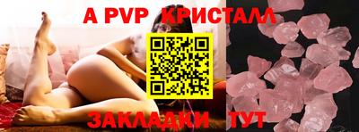 стафф Дубна