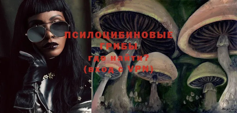 Псилоцибиновые грибы GOLDEN TEACHER  KRAKEN сайт  Обнинск 