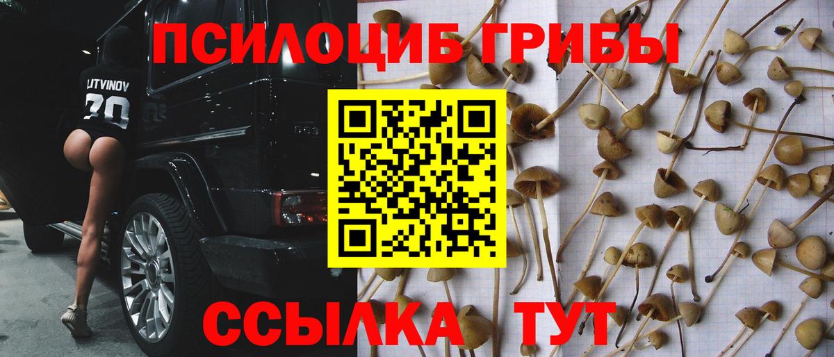 Обнинск  Галлюциногенные грибы MAGIC MUSHROOMS  Вход с VPN 